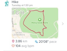 Fitbit mapping of our hike
